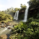 Low angle of picturesque waterfalls flowing from rocky cliff in green tropical rainforest on sunny day