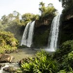 Low angle of picturesque waterfalls flowing from rocky cliff in green tropical rainforest on sunny day