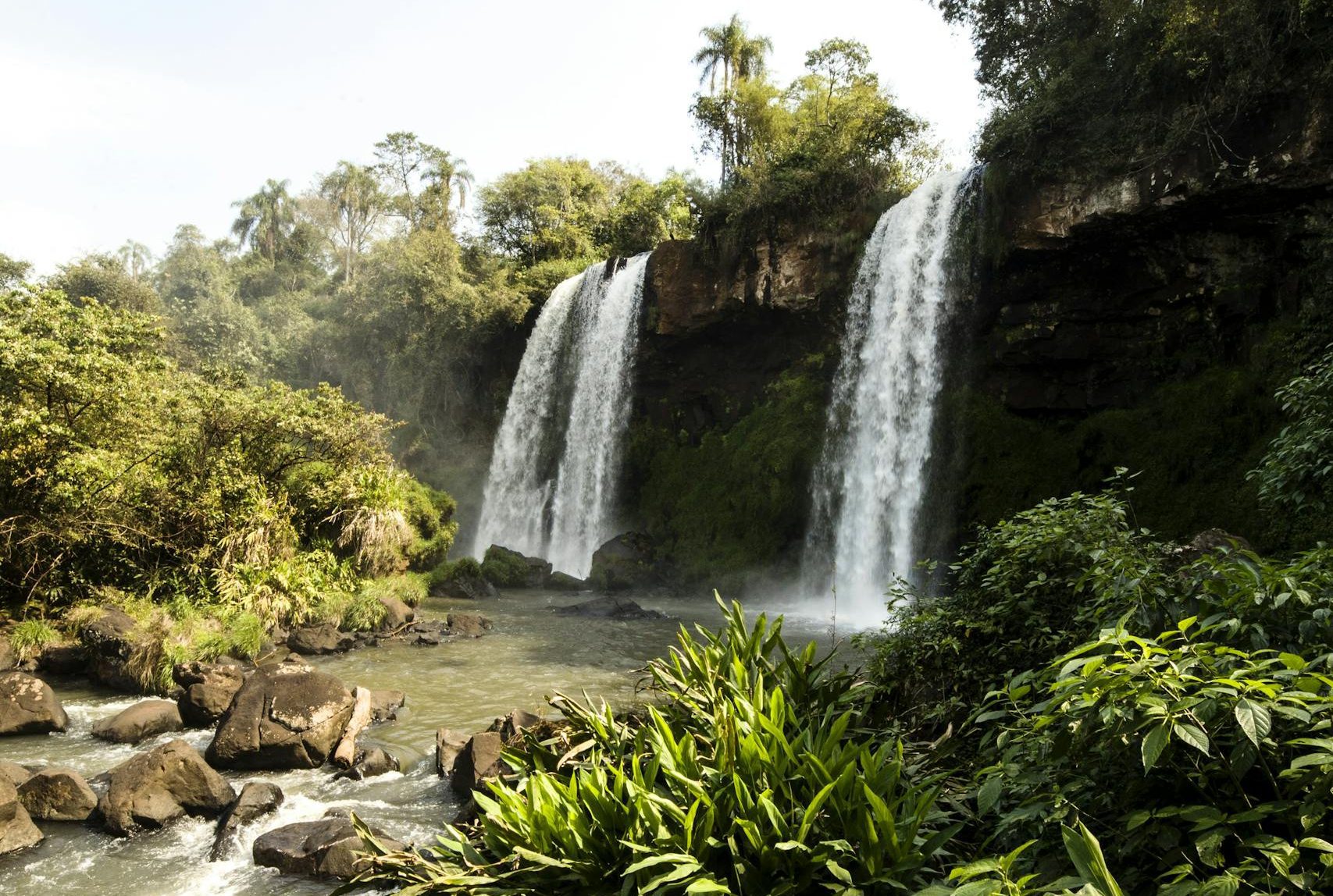 Organizaciones Regenerativas