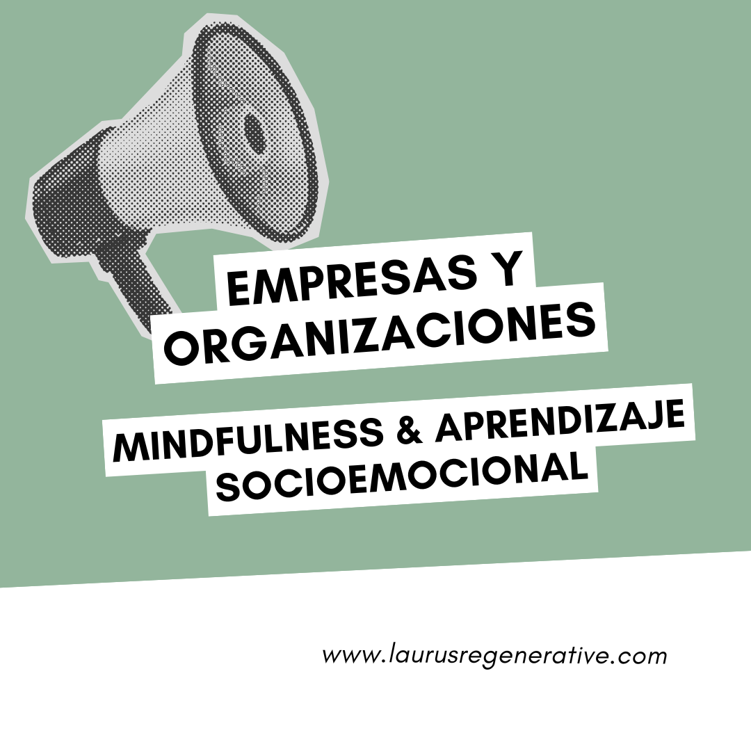 Para Empresas y Organizaciones: Mindfulness & Aprendizaje Socioemocional
