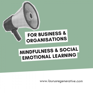  For Business & Organisations: Mindfulness & Social Emotional Learning