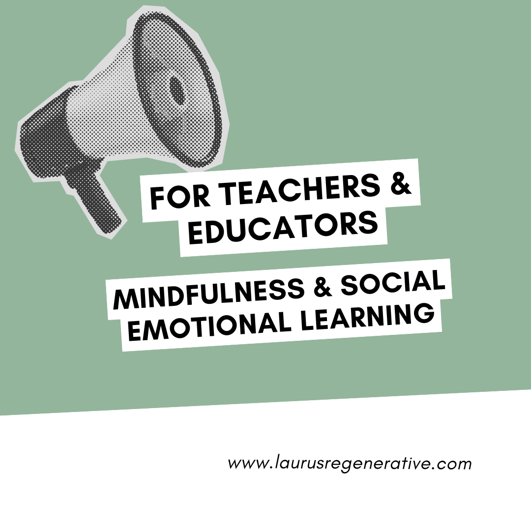 For Teachers & Educators: Mindfulness & Social Emotional Learning