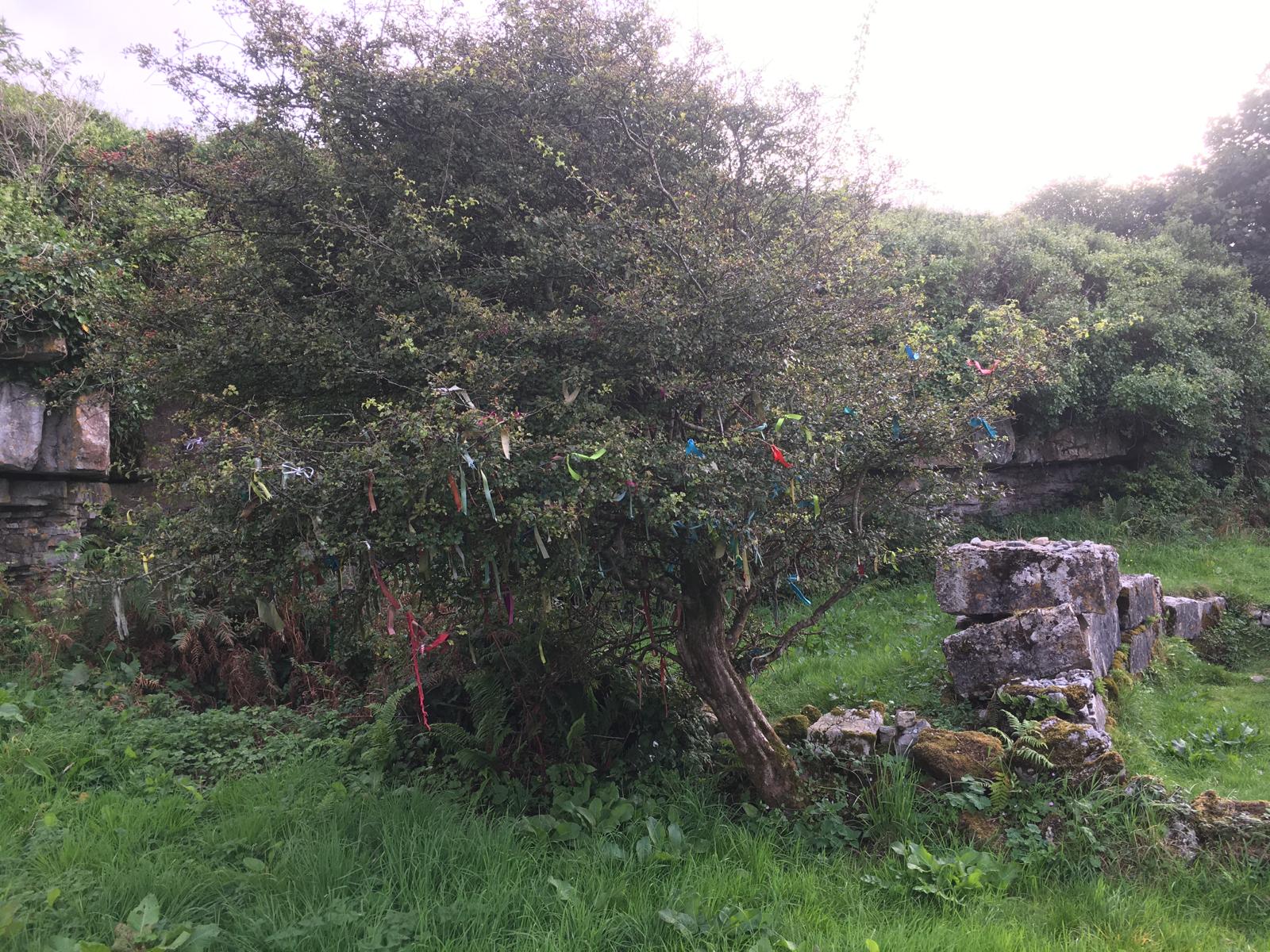 The 5 pillars of wellness and why September is good to make a fresh start