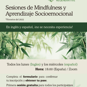 Clases online de Mindfulness y Aprendizaje Socioemocional | Online Mindfulness and Social-Emotional Learning Classes