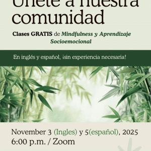 Clases online de Mindfulness y Aprendizaje Socioemocional | Online Mindfulness and Social-Emotional Learning Classes